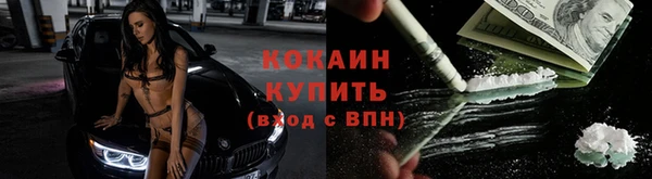 трава Абаза